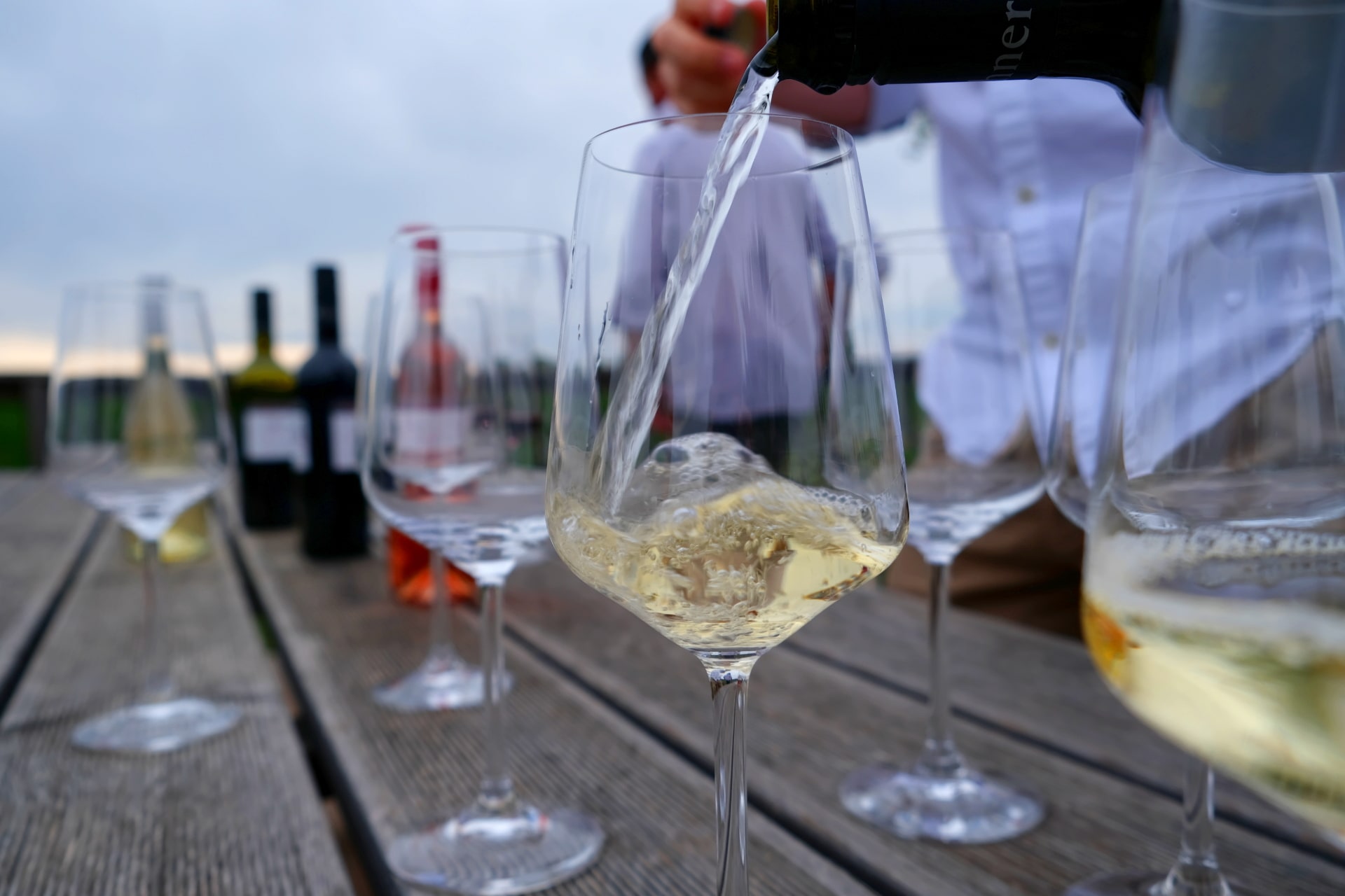Weißweine und Rotweine aus Gols - Weingüter Weiss-Taschner - Wein online kaufen